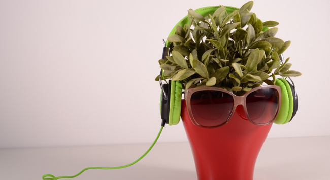 Plant inside listening to music